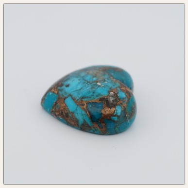 American Turquoise with Natural Oyster Shell - Drilled on top