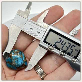 Turquoise américaine avec coquille d'huître naturelle - percée sur le dessus