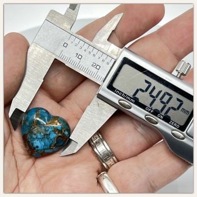 American Turquoise with Natural Oyster Shell - Drilled on top