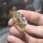 Natural Golden Brazilian Rutile Quartz - weight 19.93 Grams