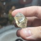 Natural Golden Brazilian Rutile Quartz - weight 19.93 Grams