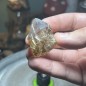 Natural Golden Brazilian Rutile Quartz - weight 38.93 Grams