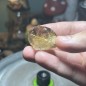 Natural Golden Brazilian Rutile Quartz - weight 38.93 Grams