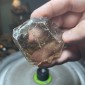 Natural Golden Brazilian Rutile Quartz top with shooting stars - weight 78.73 Grams
