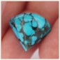 Spider Web Turquoise Special Hand form
