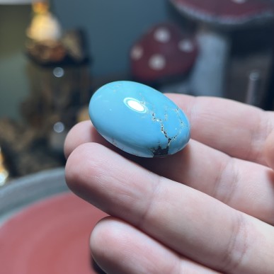 Iranian Dendrite Turquoise from Neyshabur old stock old layers Stabalized only - weight 18.91 Grams