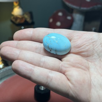 Iranian Dendrite Turquoise from Neyshabur old stock old layers Stabalized only - weight 18.91 Grams