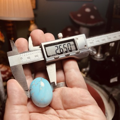 Iranian Dendrite Turquoise from Neyshabur old stock old layers Stabalized only - weight 18.91 Grams