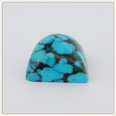 Spider Web Turquoise Special Hand form