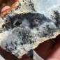 Natural Dendritic chalcedony with white jasper from Brazil - weight 255 Grams