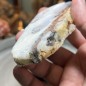 Natural Dendritic chalcedony with white jasper from Brazil - weight 147 Grams