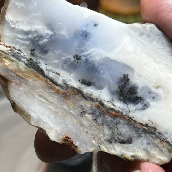 كالسيدوني شجري برازيلي طبيعي مع جاسبر ابيض بوزن ١١٧ جرام