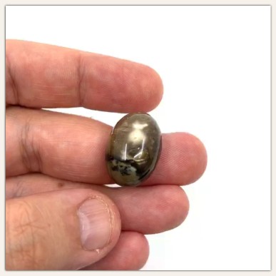 쿠웨이트 수지상 재스퍼