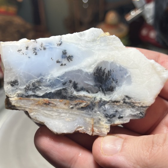 كالسيدوني شجري برازيلي طبيعي مع جاسبر ابيض بوزن ١١٦ جرام