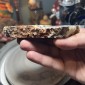 Natural Dendritic chalcedony with white jasper from Brazil - weight 257 Grams