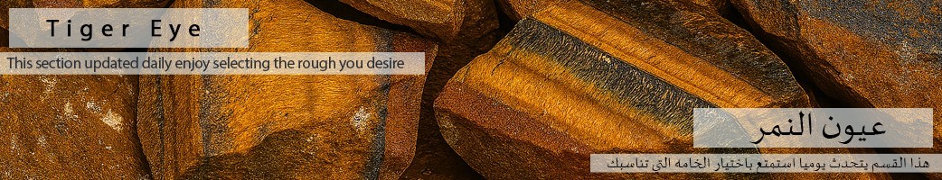 아프리카 호랑이 눈 러프