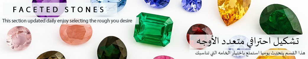 %shop-name%%separator%%category-name%